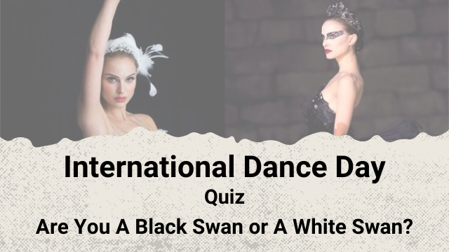 Are You A Black Swan Or White Swan?