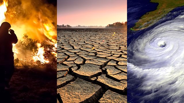 Climate change quiz