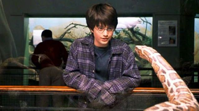 Which Harry Potter Character are you?