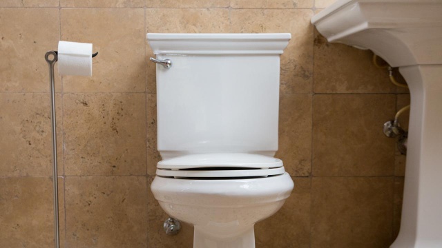 V-shesh Toilet Audit Template