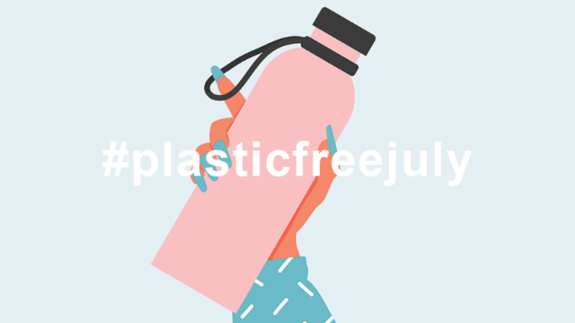 7 Questions To Find Out How Plastic Free You Are