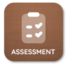 assessment